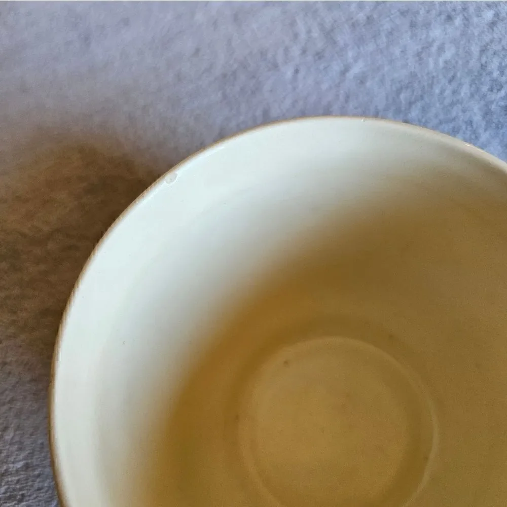Vintage Franciscan Apple Print Teacup And Saucer Set